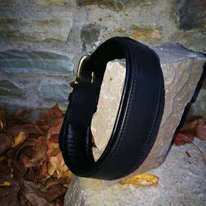 May include: A black leather dog collar with a brass buckle. The collar is thick and padded, displayed on a light-coloured stone. The background features a stone wall and fallen leaves, creating a rustic aesthetic.