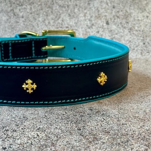 May include: A black dog collar with a turquoise interior and gold-colored hardware. The collar features gold-colored cross-shaped embellishments and turquoise stitching. The collar is made of leather.