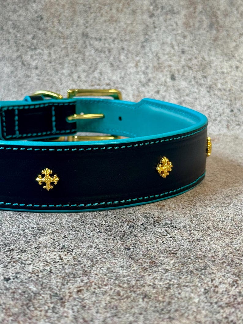 May include: A black dog collar with a turquoise interior and gold-colored hardware. The collar features gold-colored cross-shaped embellishments and turquoise stitching. The collar is made of leather.