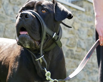 Halsband voor grote honden, halsband zonder trekkoord met veiligheidsconnector