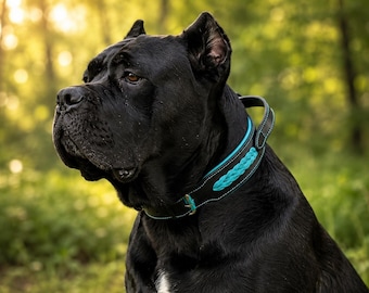 Leather Dog Collar with Handle for Large Dogs, Wide Padded Black Turquoise Collar, Cane Corso Mastiff Dog Collar
