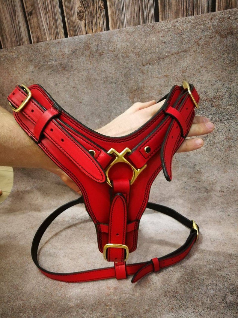 Red Leather Dog Harness Etsy