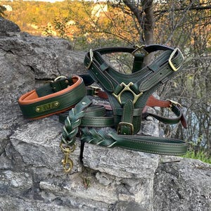 May include: A collection of green and brown leather dog accessories, including a collar, harness, and leash, with gold-colored hardware. The collar has the name "BELLA" embossed on it. The items are displayed on a gray stone surface.