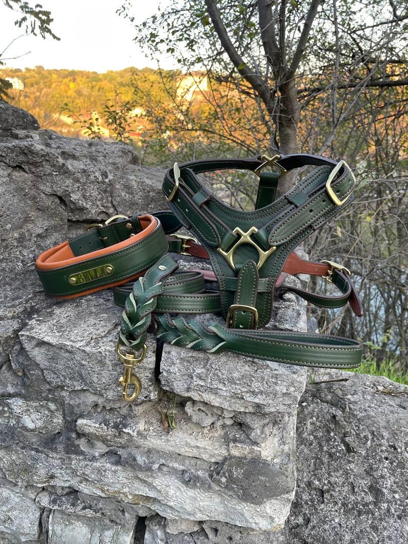 May include: A collection of green and brown leather dog accessories, including a collar, harness, and leash, with gold-colored hardware. The collar has the name "BELLA" embossed on it. The items are displayed on a gray stone surface.