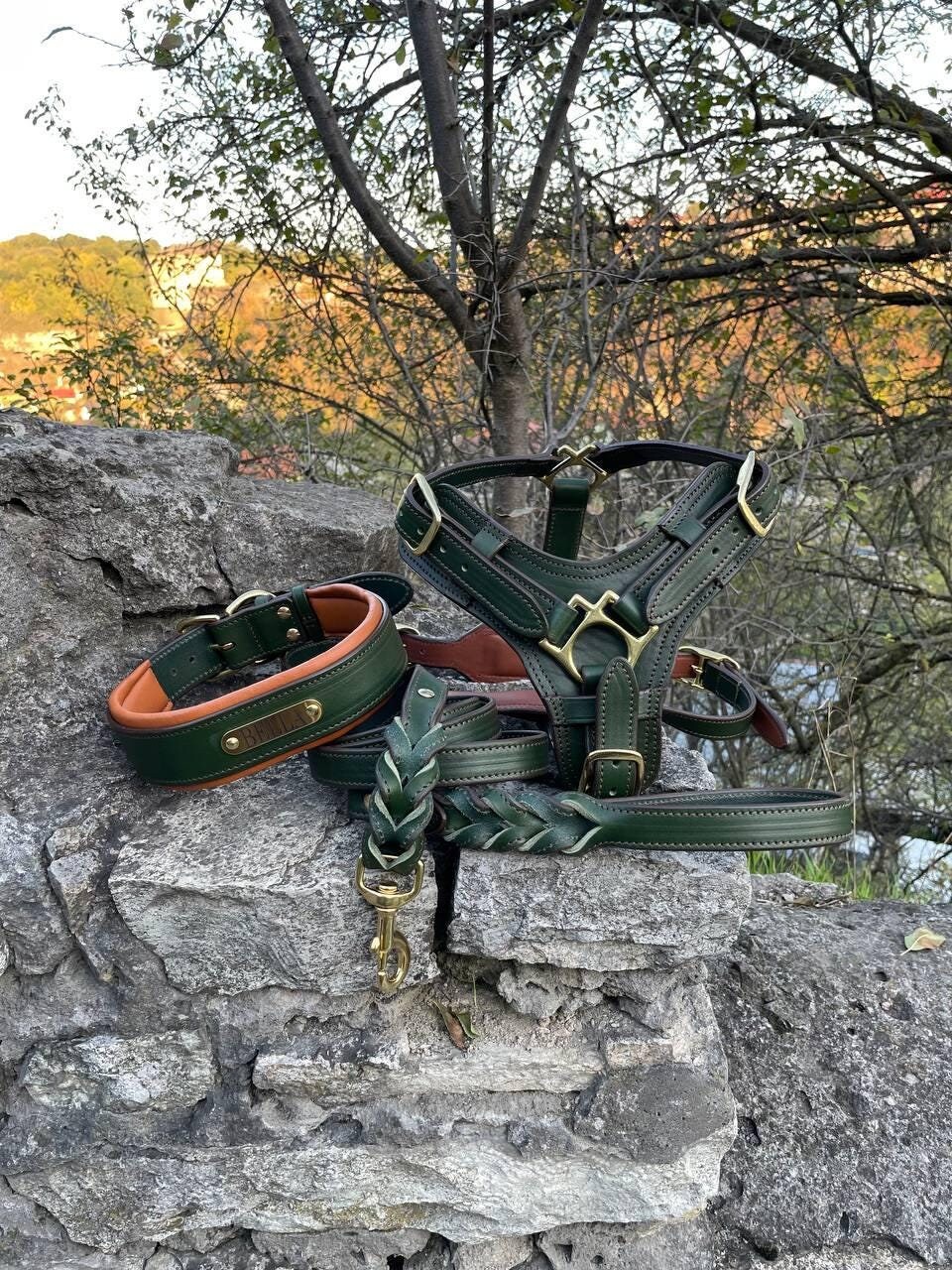 Luxus Leder Hundegeschirr, Breites gepolstertes Halsband mit Namensschild, Geflochtene Enden Leder Hundeleine, Benutzerdefinierte Hundegeschirr, Großes Hundegeschirr