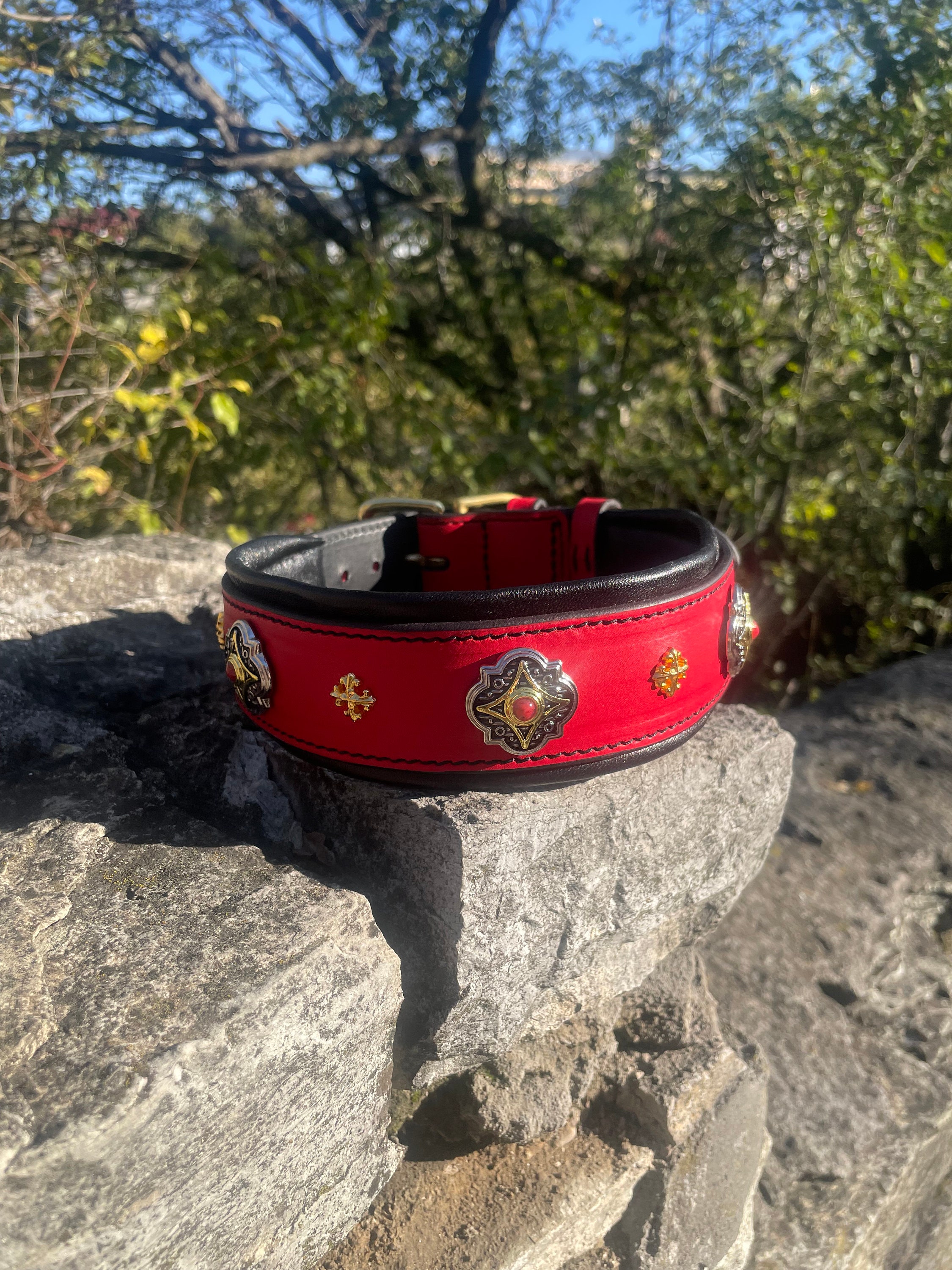 Luxury Leather Dog Collar With Golden Ornaments, Red Dog  display picture 2