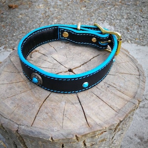 Black Leather Turquoise Leather 2 Layer Dog Collar, Solid Brass Hardware Dog Collar, Flower Pattern, Turquoise, French Bulldog 1 in Collar