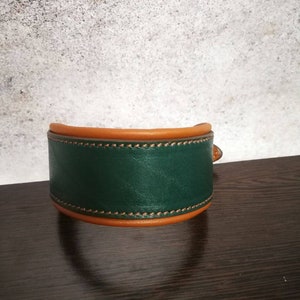 Luxury Green Leather Caramel Padded Dog Collar with Soft Cushion, Hound Dog Collar, Classic Padded Collar, Caramel Green Dog Collar