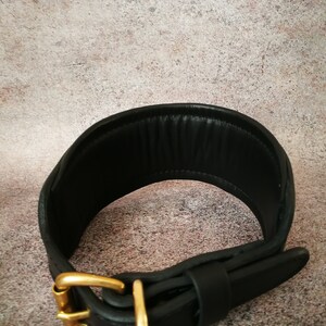 May include: Black leather dog collar with a gold metal buckle. The collar is wide and padded for comfort.