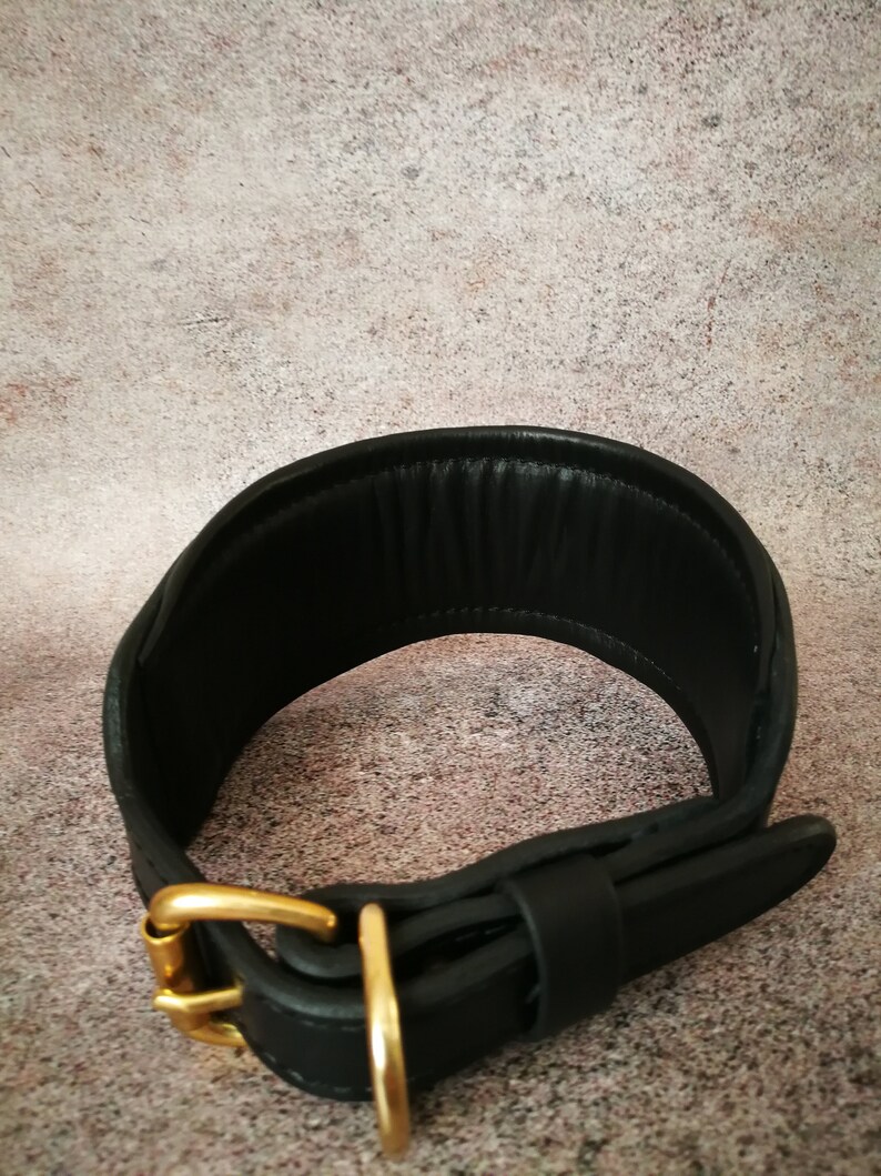 May include: Black leather dog collar with a gold metal buckle. The collar is wide and padded for comfort.