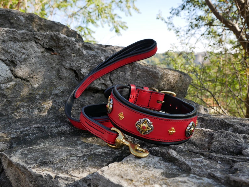 luxury red leather dog collar