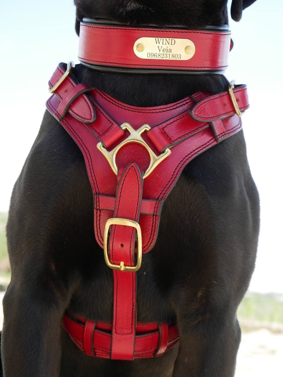 Red Leather Dog Harness with Handle, Brass Buckles Large Dog Harness