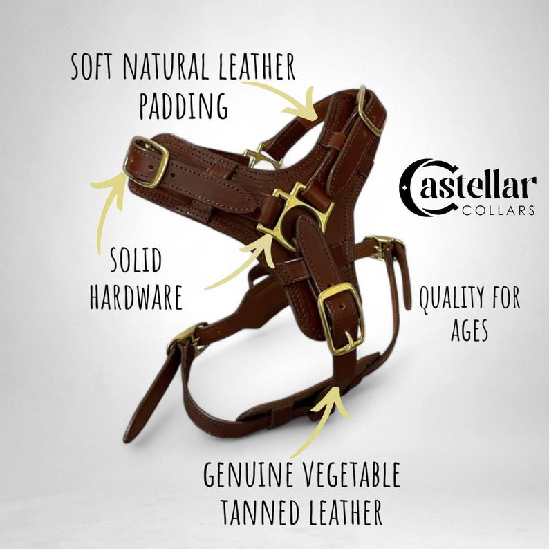 May include: A brown leather dog harness with gold-colored hardware. The harness features soft natural leather padding and is made with genuine vegetable-tanned leather. The text in the image says "Castellar Collars" and "Quality for Ages."