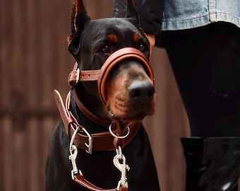Luxury Leather Dog Training Set: No-Pull Head Collar, Padded Wide Collar & 5ft Leash, Stainless Steel Gear for Large Breeds, 3-Piece Set