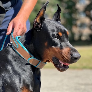 Leather Dog Collar with Handle, Large Breed Collar for Big Dog, Thick Heavy Duty Dog Collar with Grab Handle Control, Doberman, Shepherd