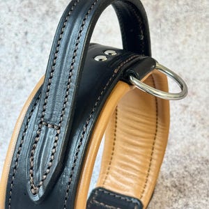 May include: Close-up of a black and tan leather dog collar with a handle. The collar features a padded tan interior and black exterior with decorative stitching. A silver metal ring and a small metal tag are attached.