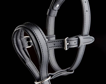 Leather Dog Halter, Leather Head Collar, Dog Head Collar, Dog Head Harness, No Pull Dog Collar, Dog Head Halter, Halter Collar for Dogs