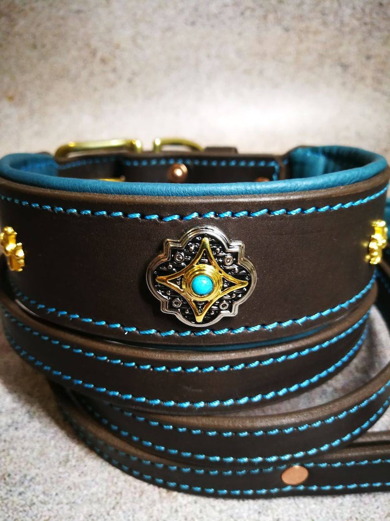 Pu&ograve; includere: Collare per cani in pelle marrone con dettagli e cuciture turchese. Il collare presenta un emblema decorativo argento e oro con una pietra turchese. &Egrave; visibile anche un guinzaglio abbinato.