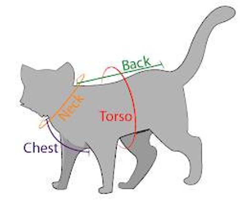 Leather Cat Harness Walking Cat Harness Luxury Cat Harness Etsy