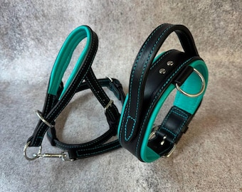 Luxury Leather No-Pull Training Set: Head Collar & Handle Collar Duo, Turquoise Nappa Lining, Stainless Steel Gear for Large Dog Breeds