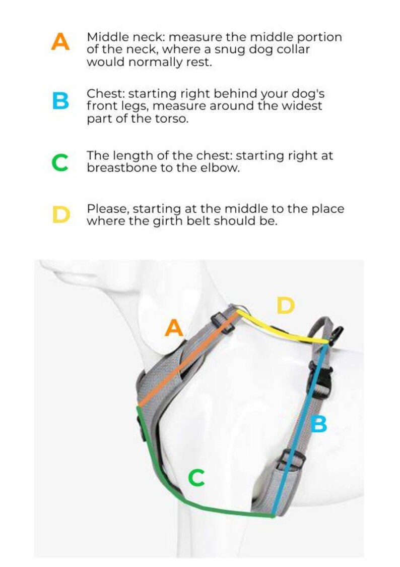 Luxury Leather Dog Harness With Handle Custom Leather Dog Etsy