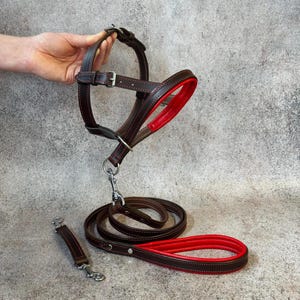 May include: A brown leather dog harness and leash set with red accents. The harness and leash are stitched with red thread. The leash has a red padded handle. The set includes a matching small strap with a metal clasp.