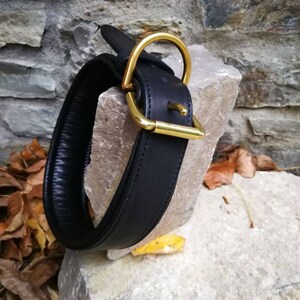 May include: A black leather dog collar with a gold-coloured metal buckle and D-ring. The collar is thick and padded. The hardware is shiny, contrasting with the dark leather. The collar is resting on a light-coloured stone. The collar is designed for comfort.