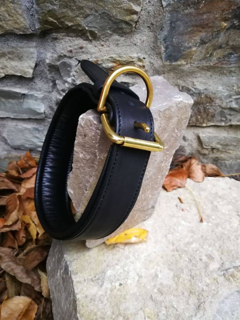 May include: A black leather dog collar with a gold-coloured metal buckle and D-ring. The collar is thick and padded. The hardware is shiny, contrasting with the dark leather. The collar is resting on a light-coloured stone. The collar is designed for comfort.