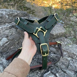 May include: A dark green leather dog harness with gold-colored metal hardware. The harness features a distinctive design with multiple straps, buckles, and a decorative center piece. The harness is held against a natural, rocky background.