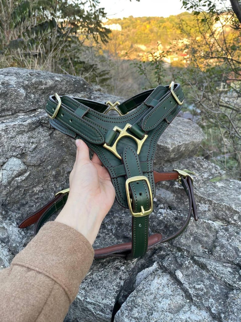 May include: A dark green leather dog harness with gold-colored metal hardware. The harness features a distinctive design with multiple straps, buckles, and a decorative center piece. The harness is held against a natural, rocky background.
