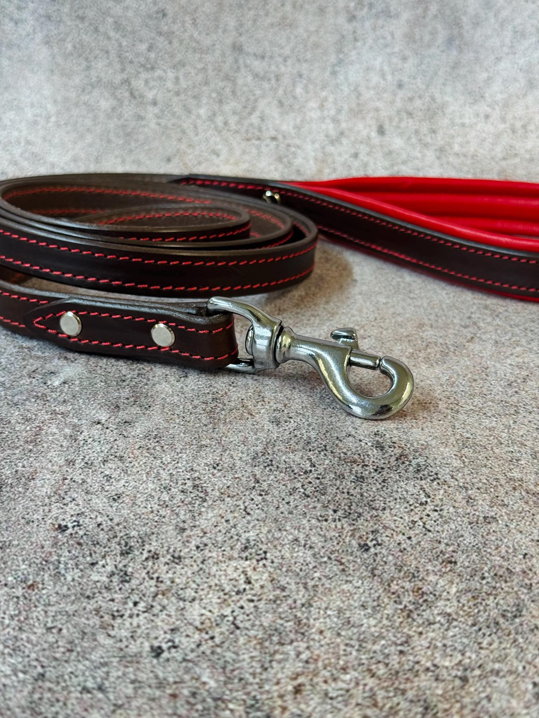 Dog headcollar, best head halter for dogs stop pulling, leather dog leash, dog nose face harness leather gentle padded, large dog no pull
