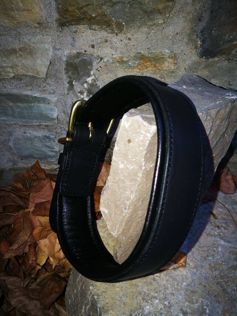 May include: A black leather dog collar with a brass buckle and fittings. The collar is thick and padded, displayed on a light-coloured stone. The background features a stone wall and fallen leaves.