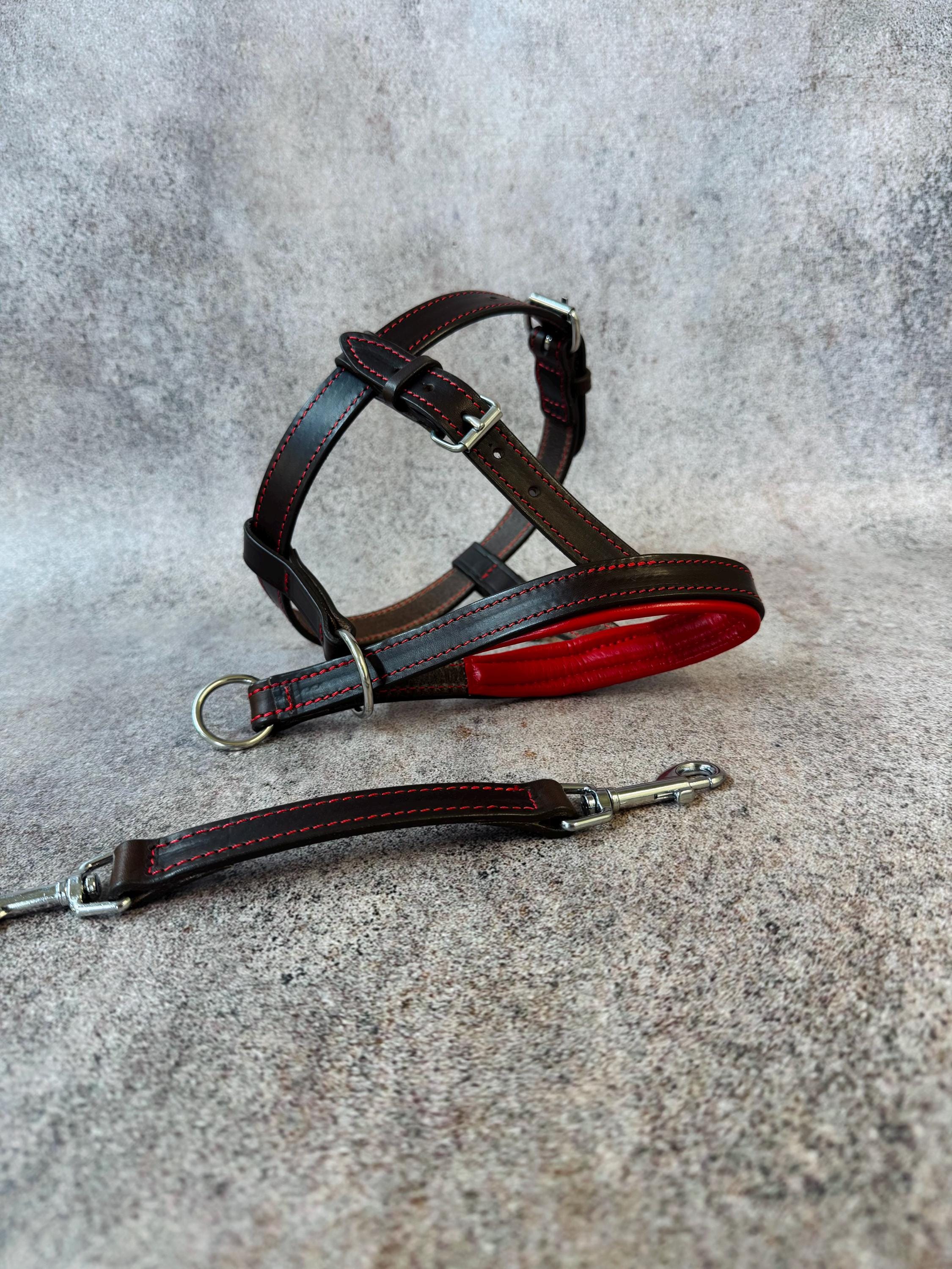Dog headcollar, best head halter for dogs stop pulling, leather dog leash, dog nose face harness leather gentle padded, large dog no pull