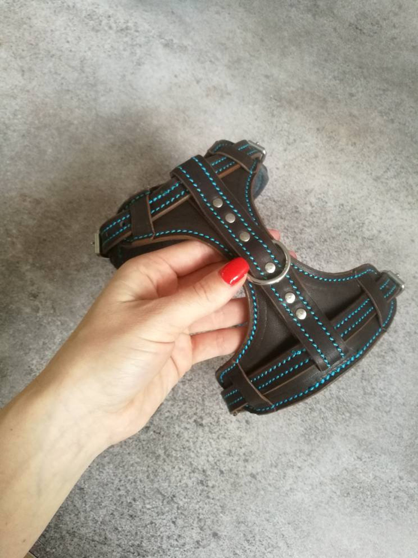 Leather Cat Harness Walking Cat Harness Luxury Cat Harness Etsy