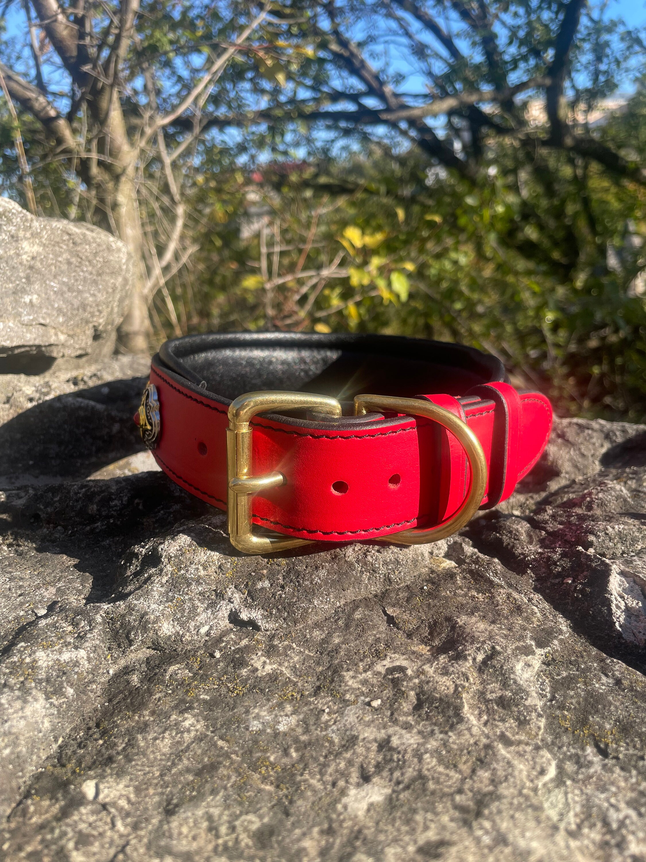 Gorsuch Red Leather Dog Collar with Gold Accents Luxury Red Leather Dog Collar With Golden Decorations - Etsy main image 4
