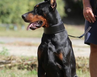 幅広レザー犬用首輪 パッド入り