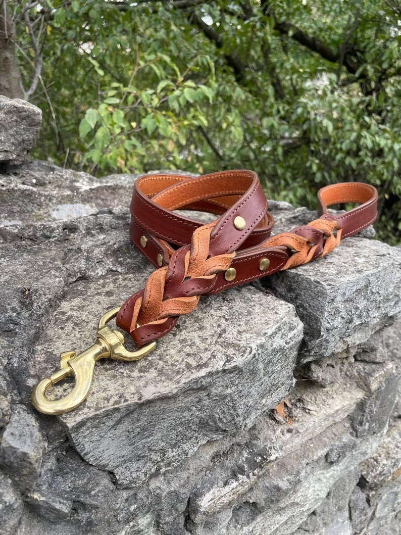 K&ouml;nnte beinhalten: Eine braune Hundeleine aus Leder mit geflochtenem Abschnitt und messingfarbener Hardware. Die Leine besteht aus zwei Braunt&ouml;nen und liegt auf einer Steinoberfl&auml;che. Sie hat einen Karabinerhaken zum einfachen Befestigen.