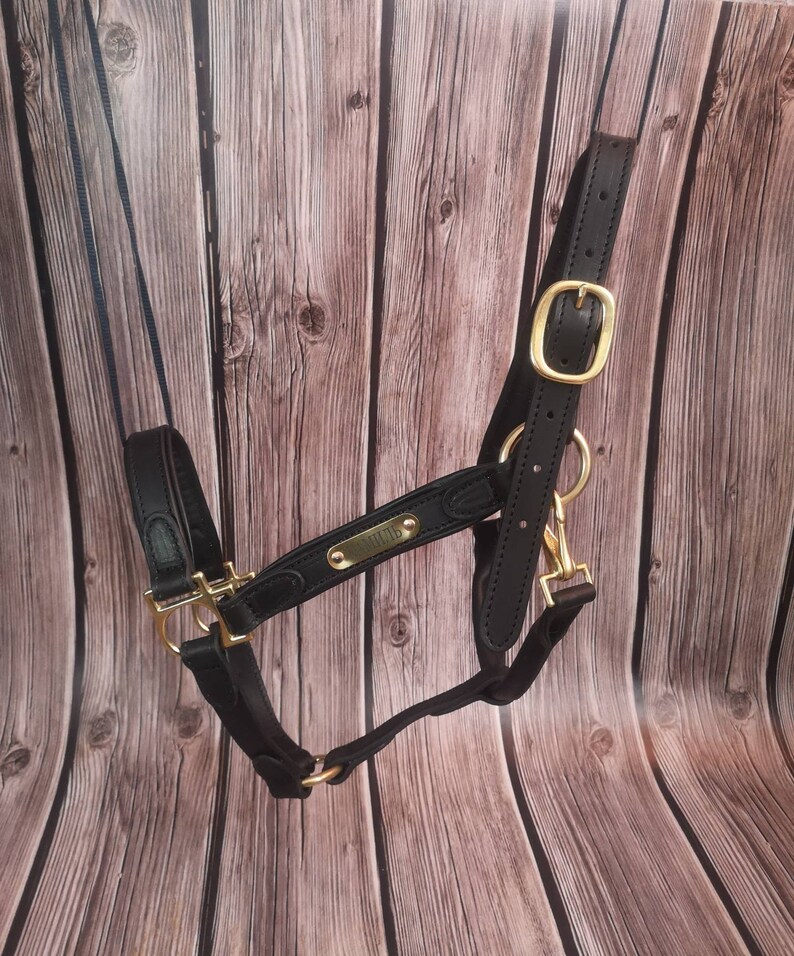 Custom Name Leather Horse Halter With Engraved Golden Etsy