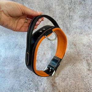 May include: Black and orange dog collar with a handle. The collar is made of leather and features a silver metal buckle and a D-ring for leash attachment. The collar is approximately 1.5 inches wide.