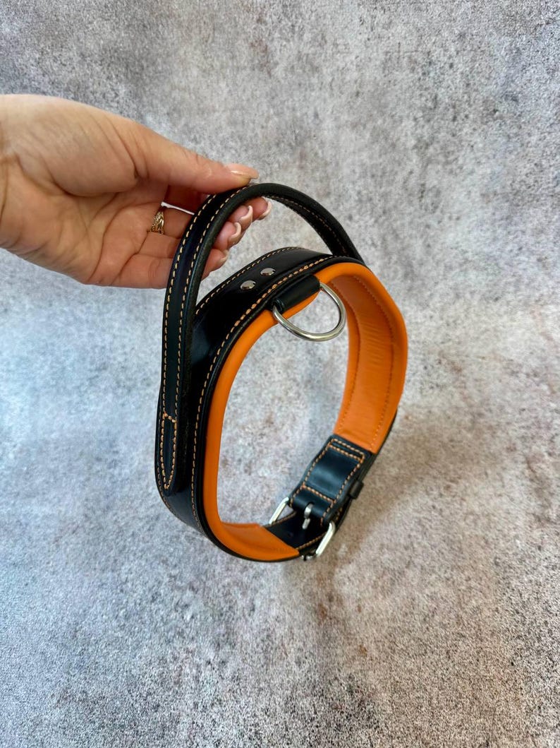 May include: Black and orange dog collar with a handle. The collar is made of leather and features a silver metal buckle and a D-ring for leash attachment. The collar is approximately 1.5 inches wide.