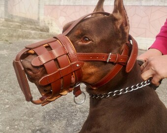 May include: A brown leather dog muzzle with a metal chain leash. The muzzle has a basket design with a wide opening for the dog's nose and mouth.