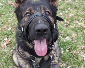 No Pull Dog Head Collar, Leather Head Dog Harness Anti Pull