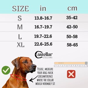 Classic Black Leather Padded Dog Collar Solid Brass Hardware, Traditional Leather Dog Collar to measurements, Soft Cushion Dog Collar image 4