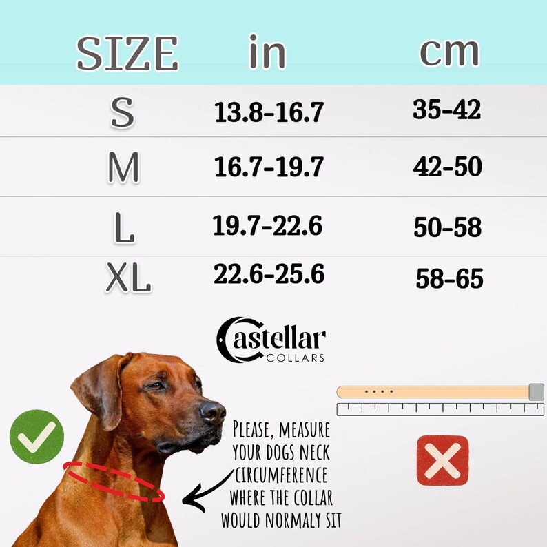 Classic Black Leather Padded Dog Collar Solid Brass Hardware, Traditional Leather Dog Collar to measurements, Soft Cushion Dog Collar image 4