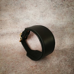 May include: A black leather dog collar with a gold metal buckle.
