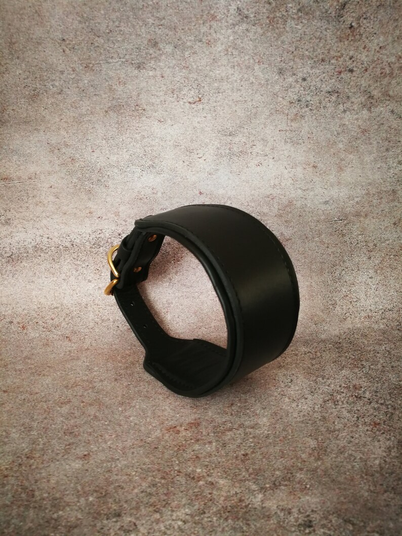 May include: A black leather dog collar with a gold metal buckle.