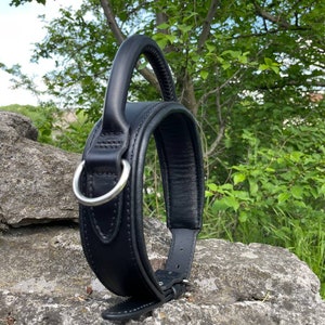 Leather Dog Collar with Handle, 2 in Wide Padded Leather Collar for Large Dog