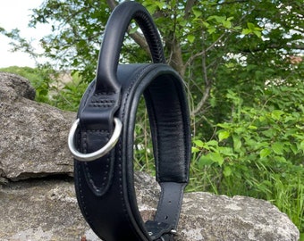Leather Dog Collar with Handle, 2 in Wide Padded Leather Collar for Large Dog