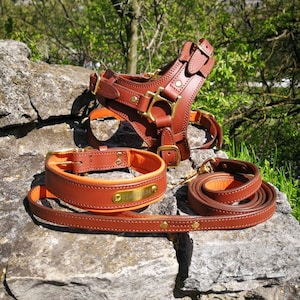 Leather Dog Harness and Leash and Collar Personalized Dog Harness Set