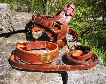 Leather Dog Harness and Leash and Collar Personalized Dog Harness Set